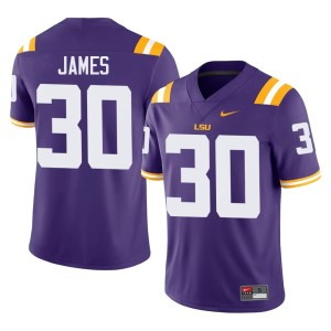 Purple Treylan James NCAA Men College Football #30 LSU Tigers Jerseys 189051-392