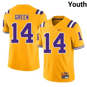 Gold 2026-27 Youth Trey'Dez Green #14 LSU Tigers College Football Jerseys 822318-583
