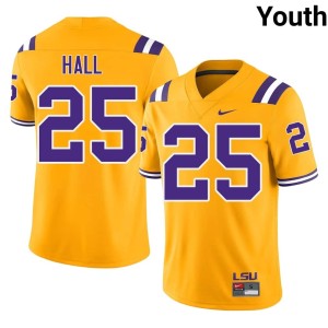 Gold College Football Aiden Hall Game Tigers Youth #25 Jersey 611952-275