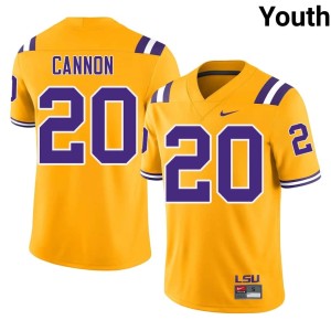Gold College Football Youth Limited Tigers Billy Cannon #20 Jersey 571364-235