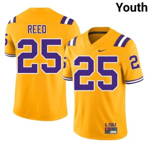 Gold College Football #25 University Josh Reed Youth LSU Jersey 424006-779